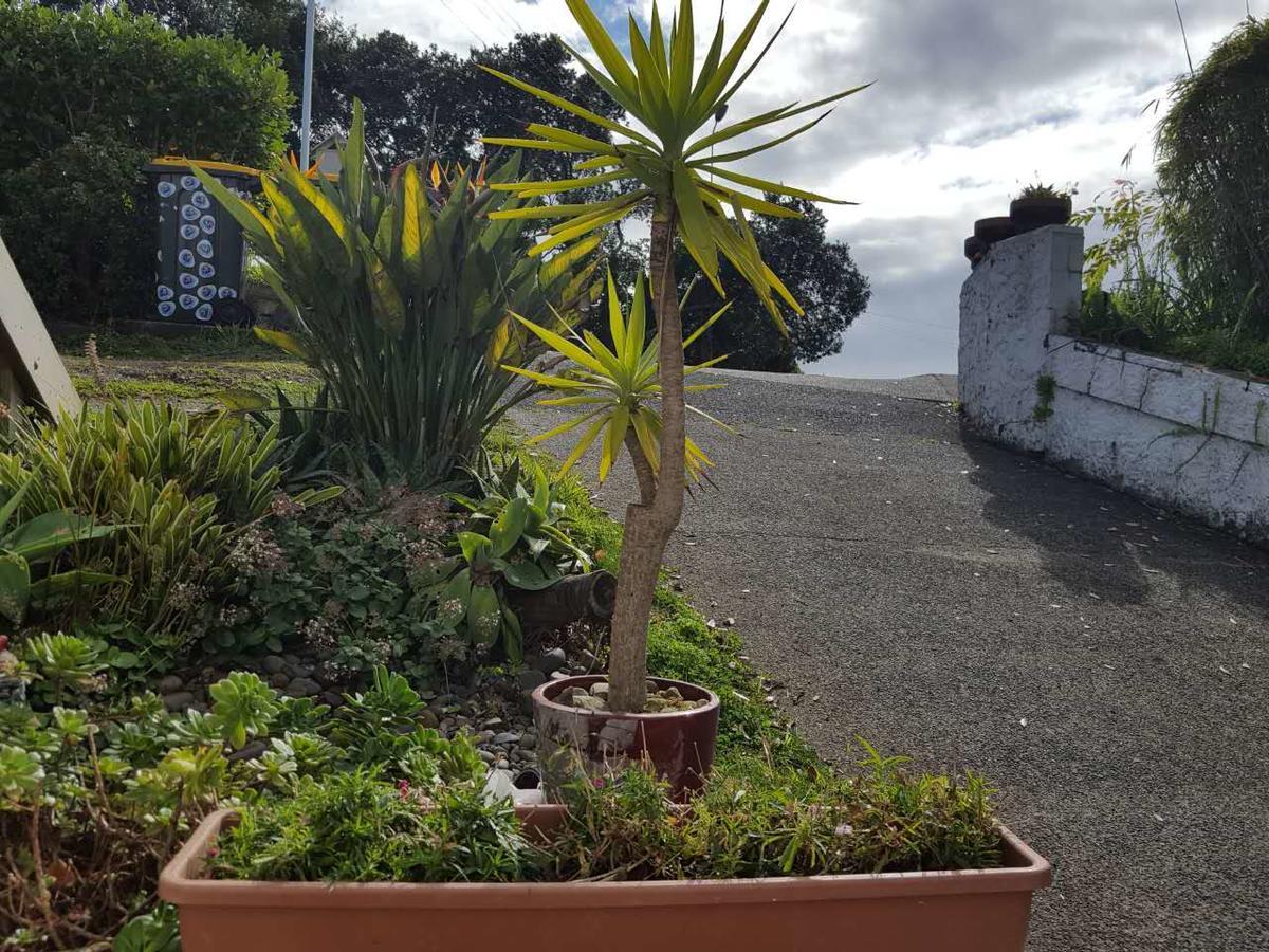 Harbour View Guesthouse Auckland Exterior foto